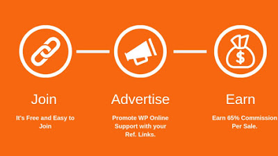 Hits and Earn: Hit per Sale Ratio decisioni del programma di affiliazione